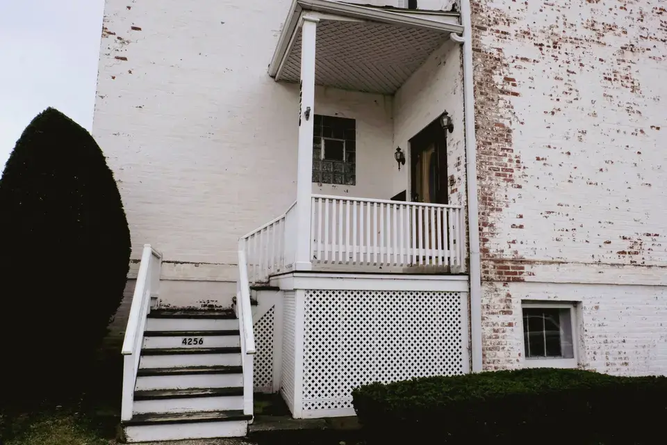 mold removal Plano